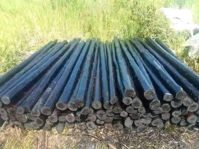 Kzn C.