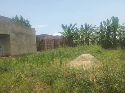 A picture of 33m 30decimals with ready land title located at matugga gombe