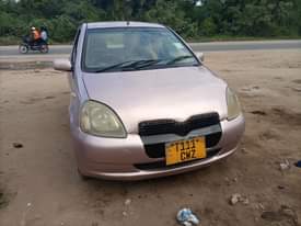 A picture of Vitz