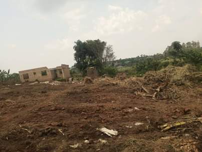 A picture of 8.5m Plot size 83by30ft with land title located at matugga
