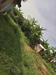 A picture of House