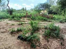 A picture of Kiwanja kipo sokoni 0622574449