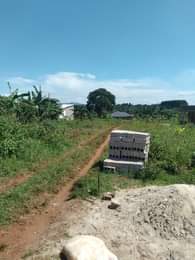 A picture of ANTI MR PROPERTY MANAGEMENT PLOTS FOR SALE LOCATED AT NAKAWUKA