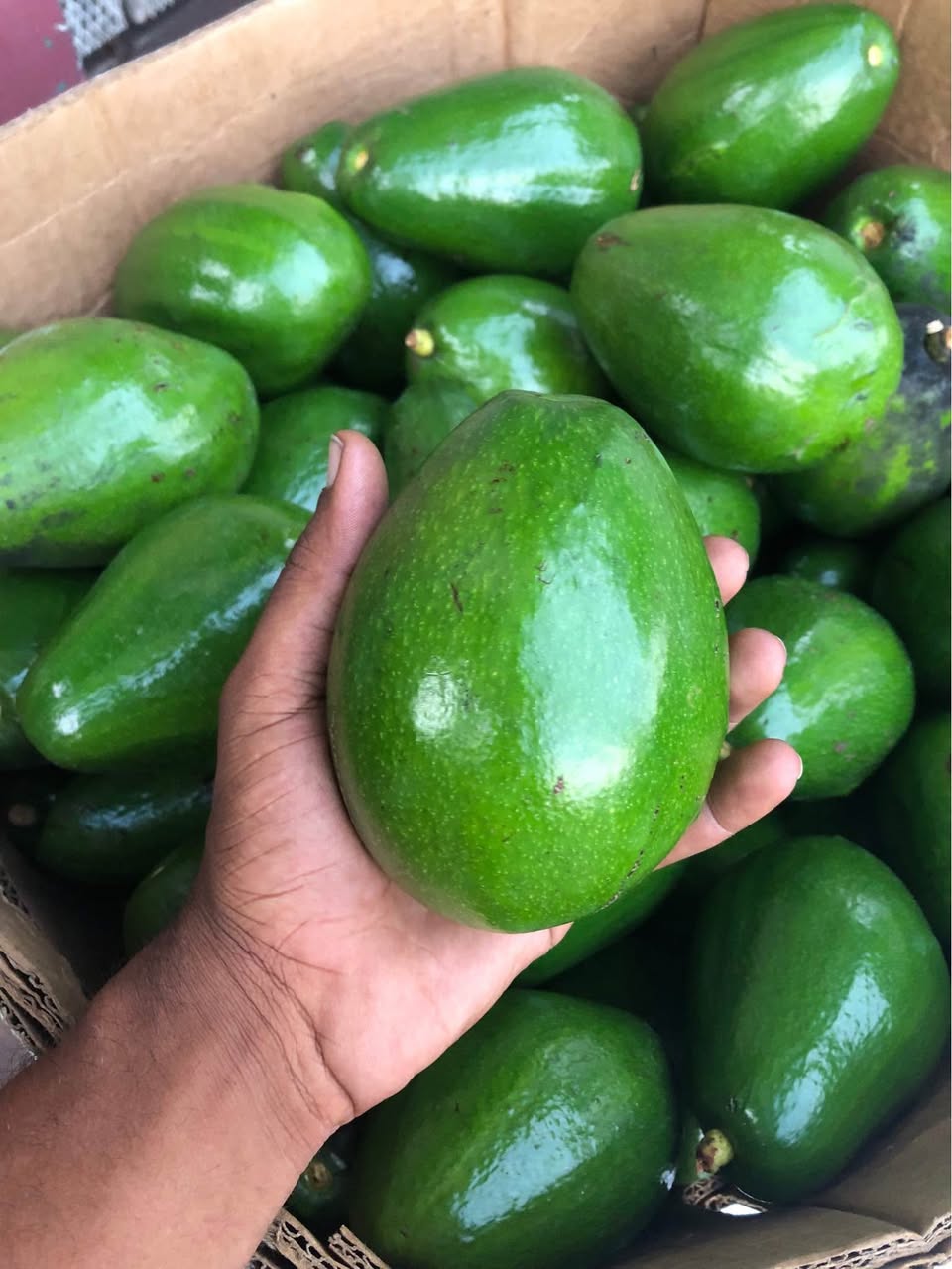 Daniel H.