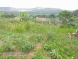 A picture of Plot for sale Price 5 5millions