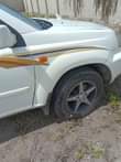 A picture of Nissani