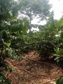 A picture of 3 5 acres 20m each