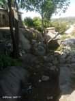 A picture of Eneo hili Lina uzwa