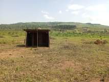 A picture of 25 Decimals available for sale in Kitende sekiwunga half kilometer