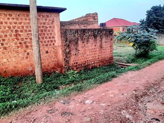 A picture of at Zana