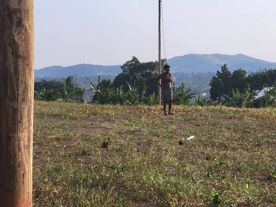 A picture of TITTLED PLOTS IN KAKIRI NAMPUNGE