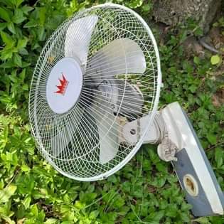 fans