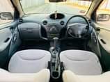 A picture of Vitz
