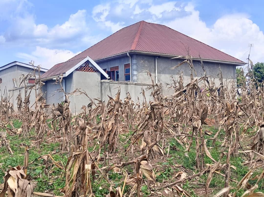 A picture of Plots for sale