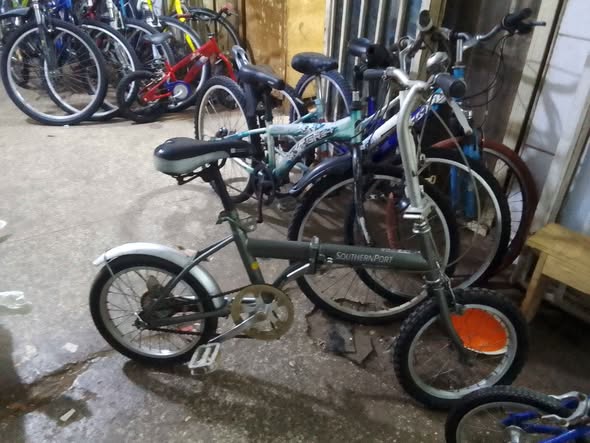 A picture of Safari Fold Bicycles