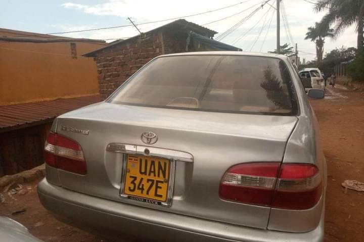 A picture of Toyota kikumi kumi