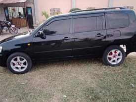 A picture of Toyota probox