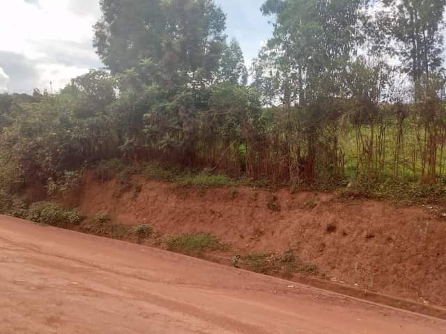 Land, Plots & Farms For Sale In Rwanda: Ikibanza Kigurishwa, Ibibanza 2024