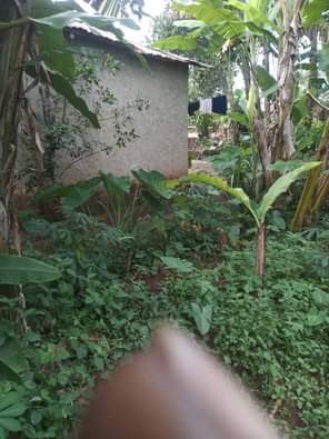 A picture of ANTI MR PROPERTY MANAGEMENT PLOT FOR SALE LOCATED AT KASANJE