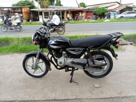 A picture of Boxer mb
