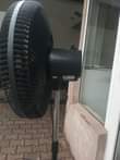 A picture of 18 INCHES OX STANDING FAN