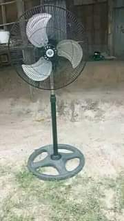 A picture of NAUZA FENI YA JUU PANGA BOI KUBWA NA FENI YA