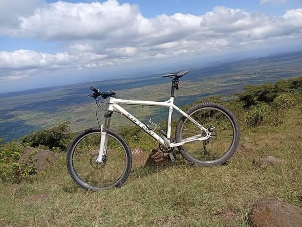 bicycle