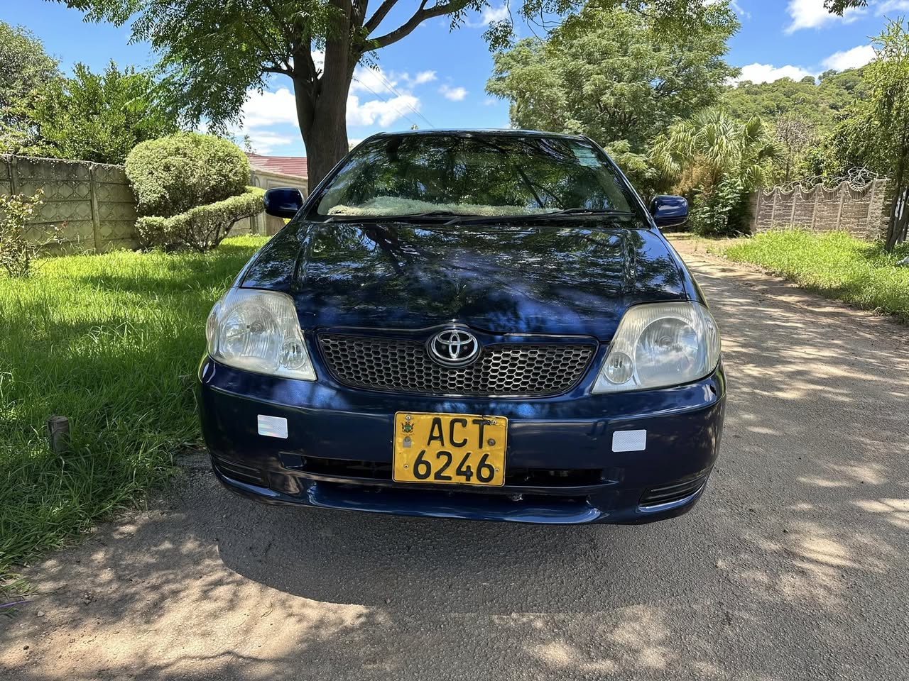 used toyota runx