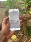 A picture of iPhone 8
