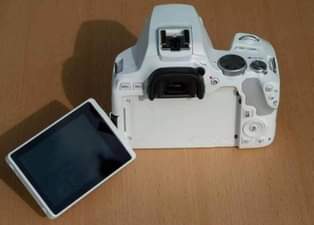 A picture of Canon EOS 250D