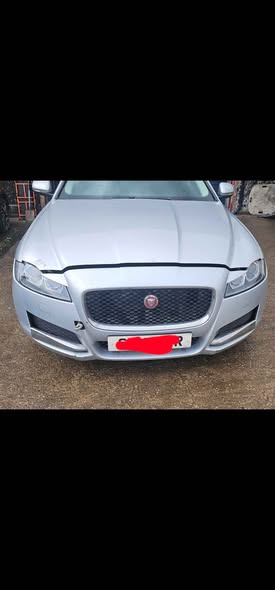 jaguar
