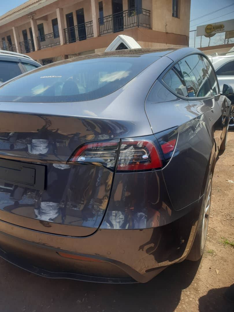 A picture of TESLA Y 2025