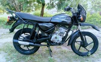 A picture of Boxer cc150