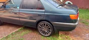 A picture of Toyota Premio