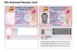 A picture of FREE VISA AND TICKETS