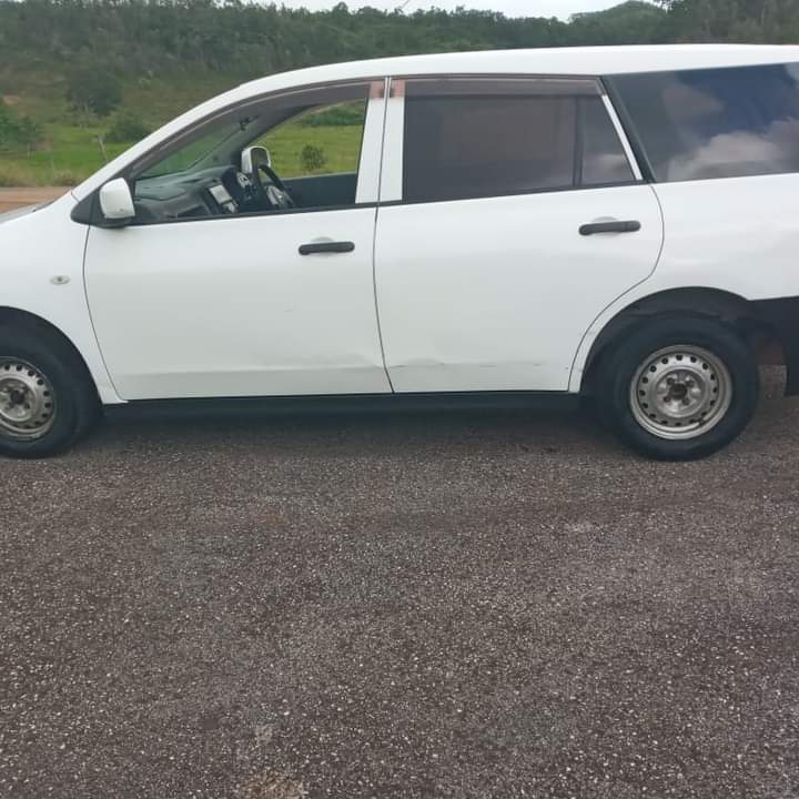 nissan ad wagon