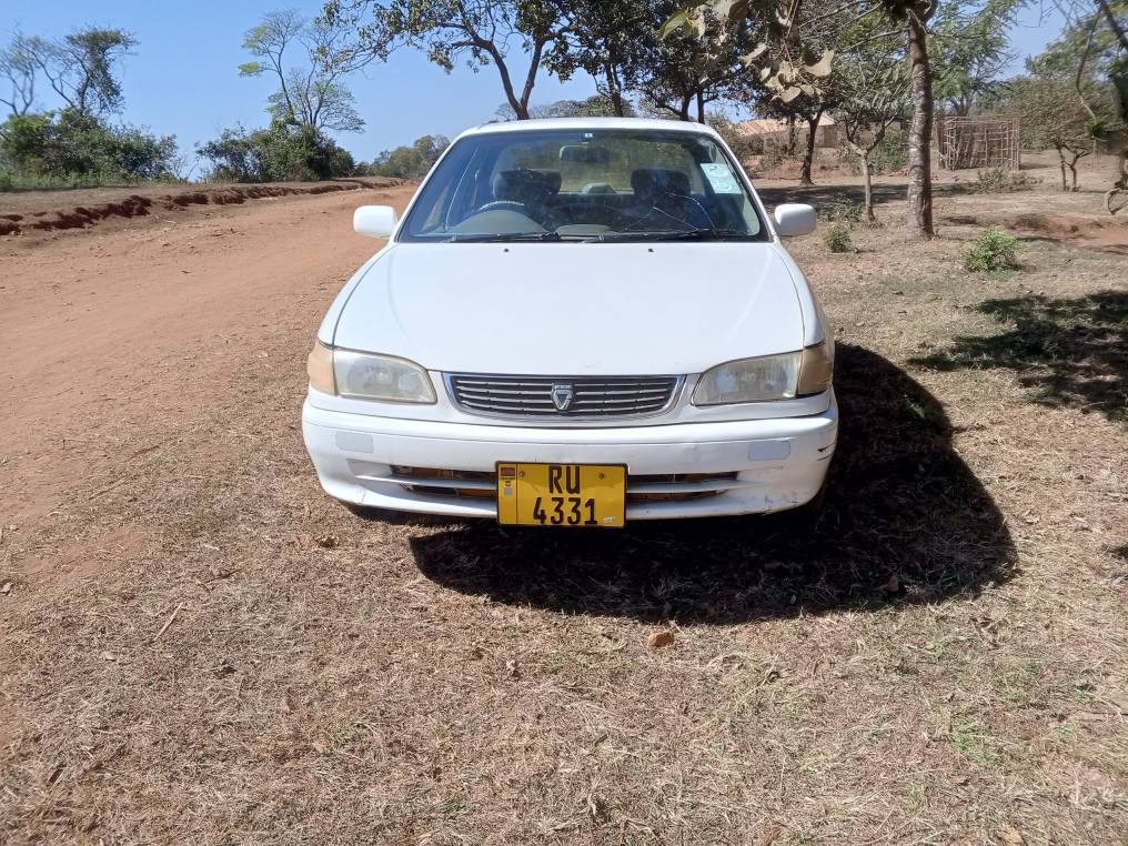 used toyota corolla