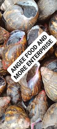A picture of Let s dry some bush snails for you and ur