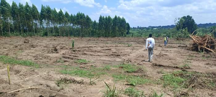 A picture of 50X100FT AND 100X100FT FOR SALE IN KIKIRI WAKISO