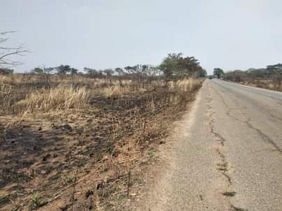 chisamba