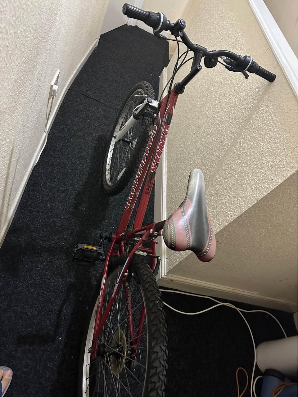 bikes