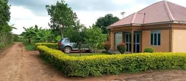 A picture of Kiwenda Gayaza quick sale