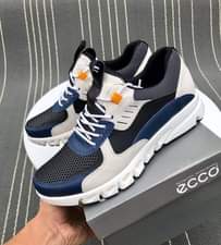 A picture of Shoes