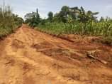 A picture of Fuuna Plot kumiitwalo kiinana zooka 800 000 Get your own