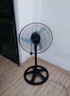 A picture of Feni