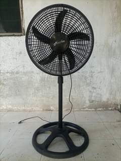 fans