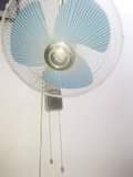 A picture of Feni ya ukutani