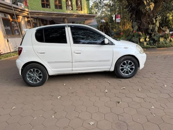 A picture of Vitz