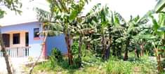 A picture of Quick sale 13m house on sale located at Bombo town