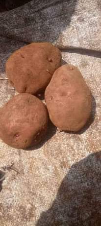 A picture of Irish potatoes